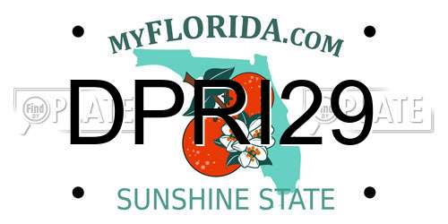 DPRI29 Florida License Plate