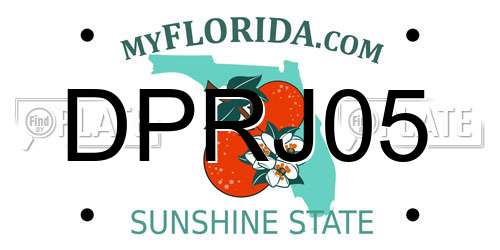 DPRJ05 Florida License Plate