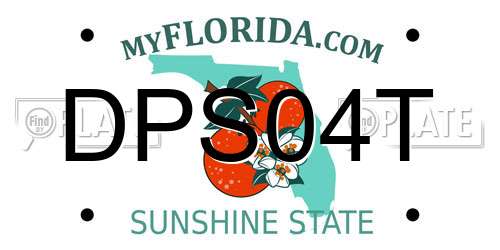 DPS04T Florida License Plate