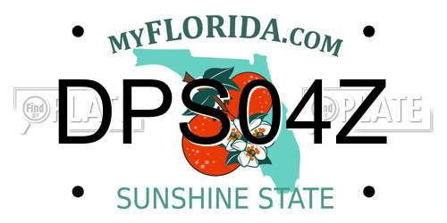 DPS04Z Florida License Plate