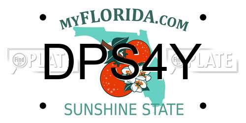 DPS4Y Florida License Plate