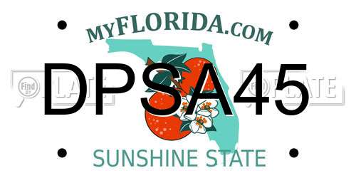 DPSA45 Florida License Plate