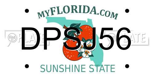DPSJ56 Florida License Plate