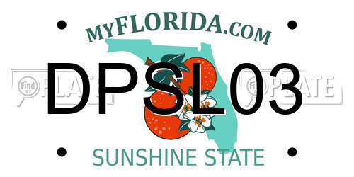 DPSL03 Florida License Plate