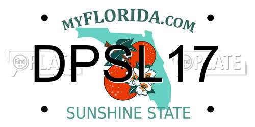 DPSL17 Florida License Plate