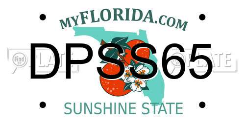 DPSS65 Florida License Plate