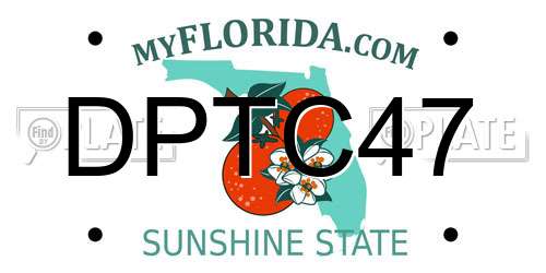 DPTC47 Florida License Plate