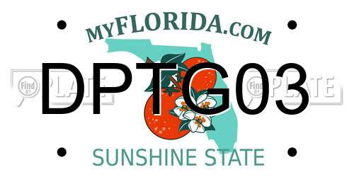 DPTG03 Florida License Plate