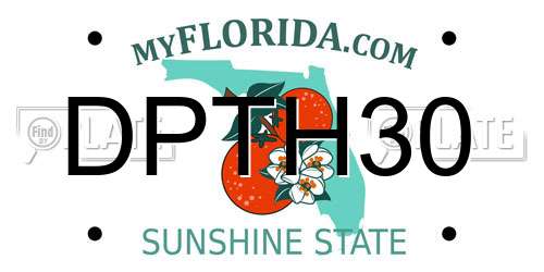 DPTH30 Florida License Plate