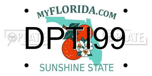 DPTI99 Florida License Plate