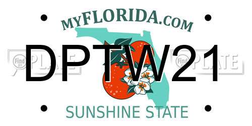 DPTW21 Florida License Plate