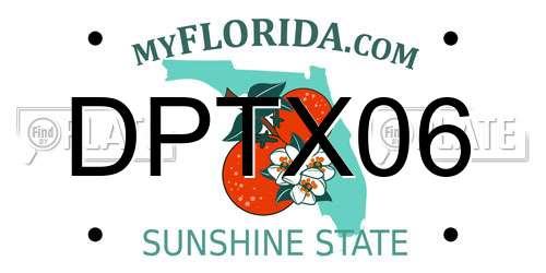 DPTX06 Florida License Plate