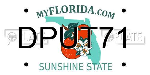 DPUT71 Florida License Plate