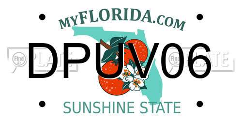 DPUV06 Florida License Plate