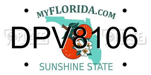 DPV8106 Florida License Plate