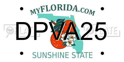 DPVA25 Florida License Plate