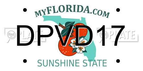 DPVD17 Florida License Plate