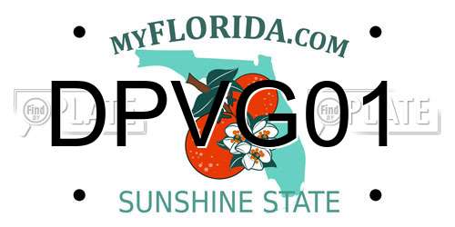 DPVG01 Florida License Plate