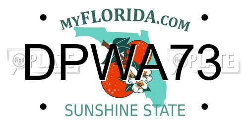 DPWA73 Florida License Plate