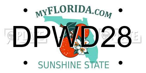 DPWD28 Florida License Plate