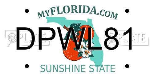 DPWL81 Florida License Plate