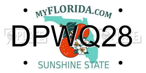 DPWQ28 Florida License Plate