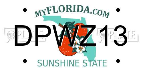 DPWZ13 Florida License Plate