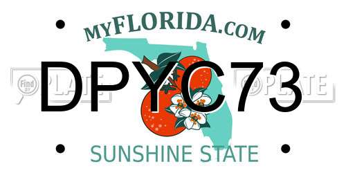 DPYC73 Florida License Plate