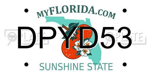DPYD53 Florida License Plate