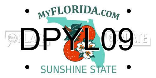 DPYL09 Florida License Plate