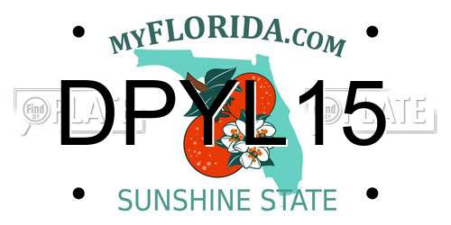 DPYL15 Florida License Plate