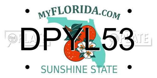 DPYL53 Florida License Plate