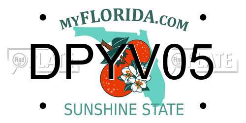DPYV05 Florida License Plate
