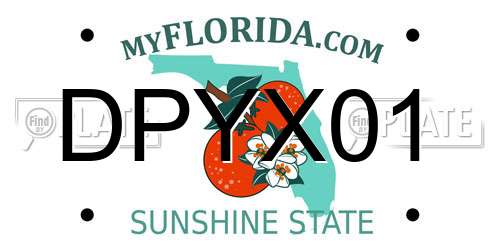 DPYX01 Florida License Plate