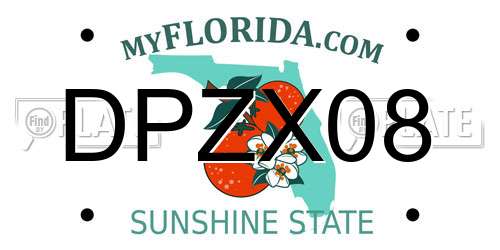 DPZX08 Florida License Plate