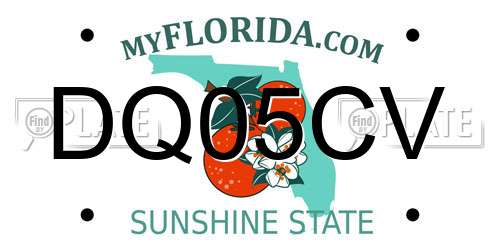 DQ05CV Florida License Plate