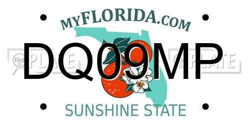 DQ09MP Florida License Plate