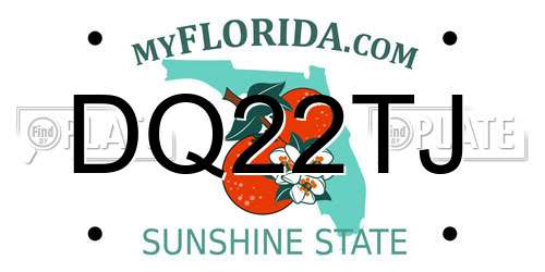 DQ22TJ Florida License Plate