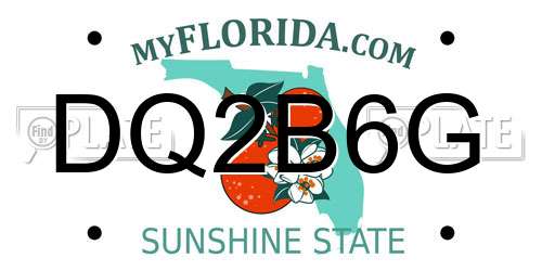 DQ2B6G Florida License Plate