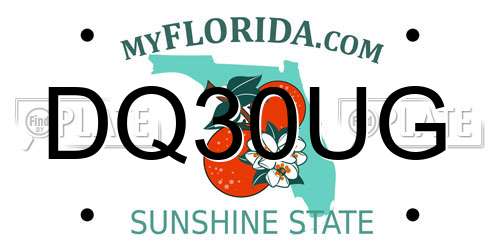 DQ30UG Florida License Plate