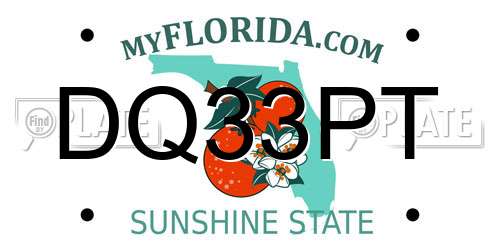 DQ33PT Florida License Plate