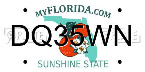 DQ35WN Florida License Plate