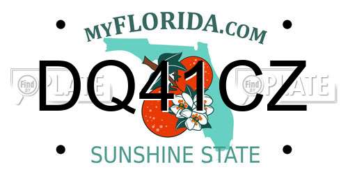DQ41CZ Florida License Plate