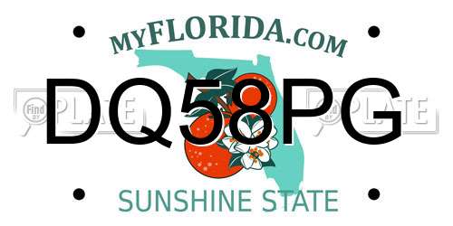 DQ58PG Florida License Plate