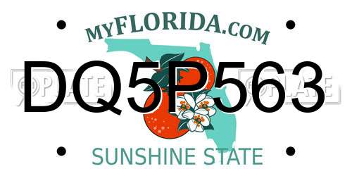 DQ5P563 Florida License Plate