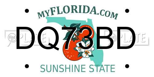 DQ73BD Florida License Plate