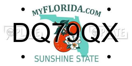 DQ79QX Florida License Plate