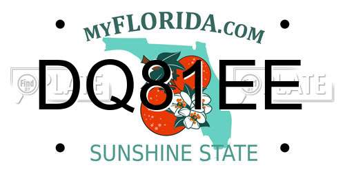 DQ81EE Florida License Plate