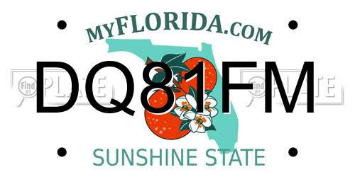 DQ81FM Florida License Plate