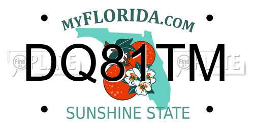DQ81TM Florida License Plate